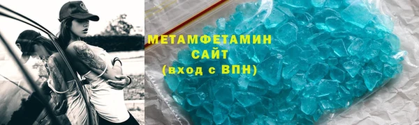 прущие грибы Бронницы