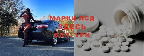 прущие грибы Бронницы