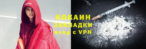 прущие грибы Бронницы