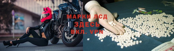 прущие грибы Бронницы