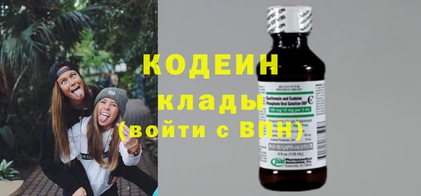 мяу мяу мука Бородино
