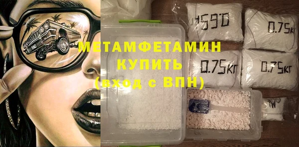 прущие грибы Бронницы